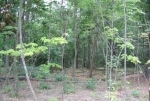  59 Pinnacle Falls Lane Lot 28, Zirconia, North Carolina<br />United States